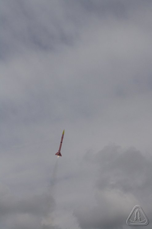 2013 Svojek Mirek Topinka